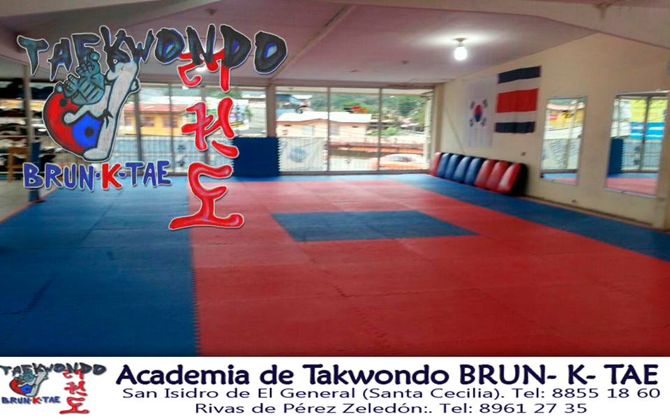 Taekwondo, www.pzactual.com